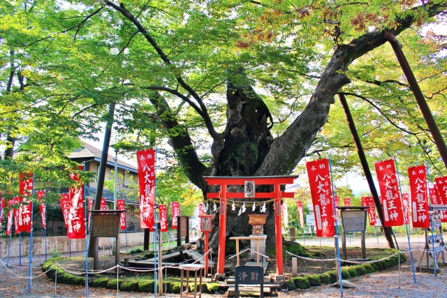 秩父今宮神社｜秩父霊場発祥の地で八大龍王を祀る由緒ある神社の魅力と参拝案内を完全ガイド