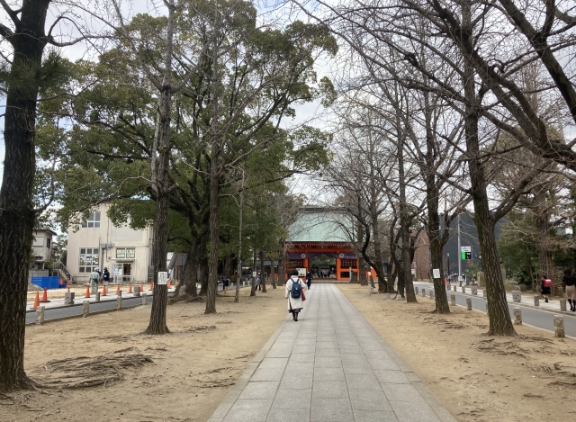 葛飾八幡宮｜由緒ある神社の歴史と見どころ、参拝情報を完全ガイド