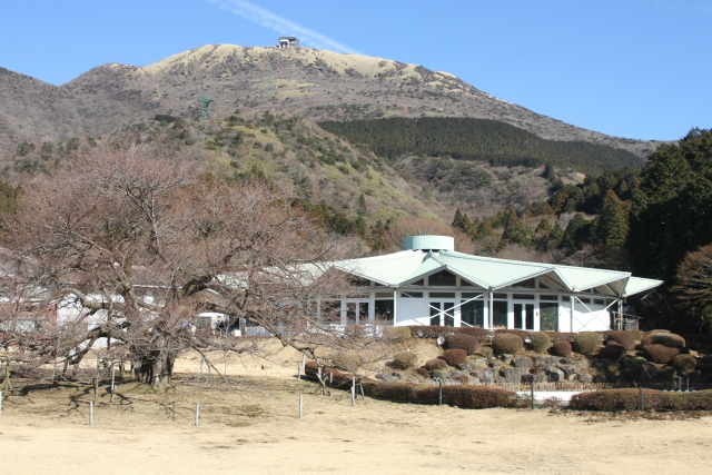 箱根元宮｜由緒ある神社の歴史と見どころ、参拝情報を完全ガイド