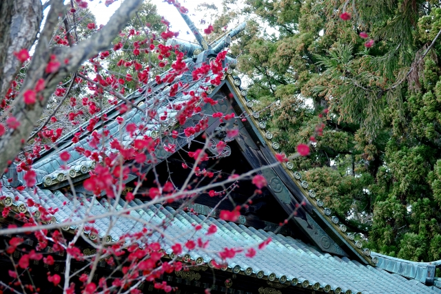 仙台東照宮｜由緒ある神社の歴史と見どころ、参拝情報を完全ガイド