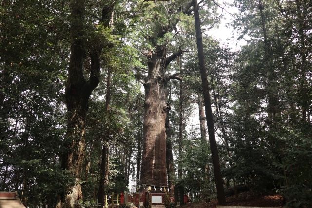 麻賀多神社｜由緒ある古社の歴史と見どころ、参拝情報を完全ガイド