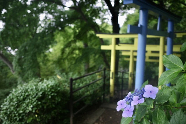 Ashikaga Orihime Shrine｜Complete guide to the charms of this holy place for lovers where seven marriages are fulfilled and information on visiting the shrine