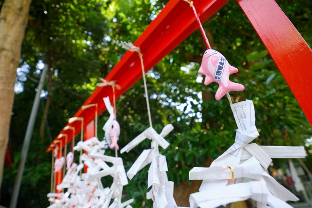Kainan Shrine｜Complete guide to the history, highlights, and worship information of the Soshu-Miura Soshinmachi Shrine