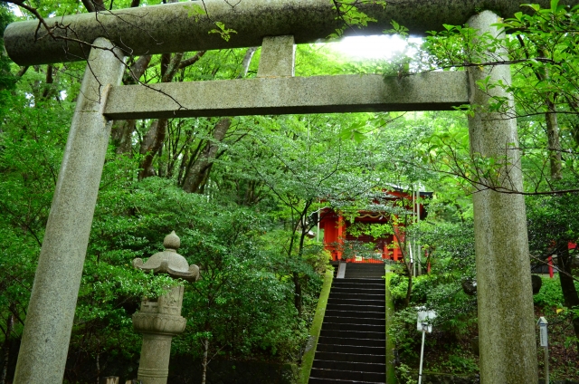 九頭龍神社（箱根町）｜芦ノ湖の神秘的なパワースポットと龍神信仰の歴史を完全ガイド