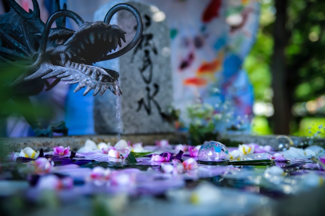 札幌諏訪神社の見どころ・特徴