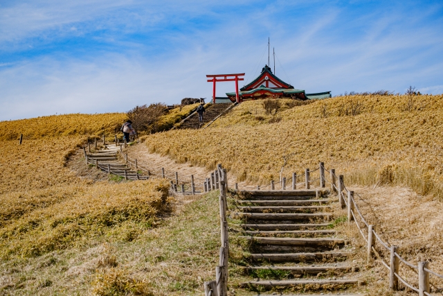 箱根元宮｜由緒ある神社の歴史と見どころ、参拝情報を完全ガイド