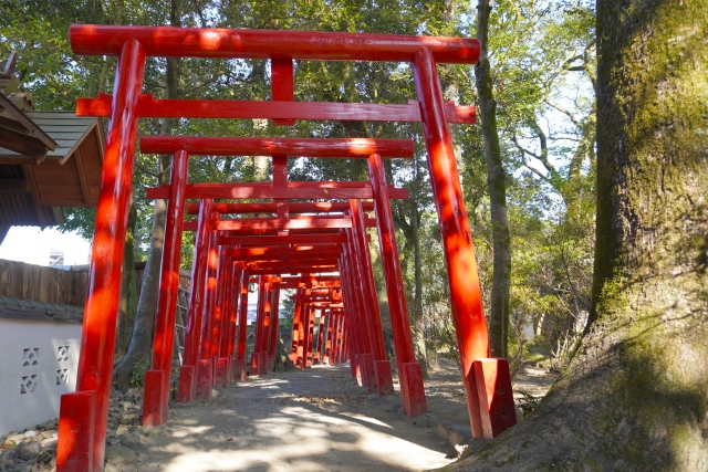 青井阿蘇神社の見どころ・特徴