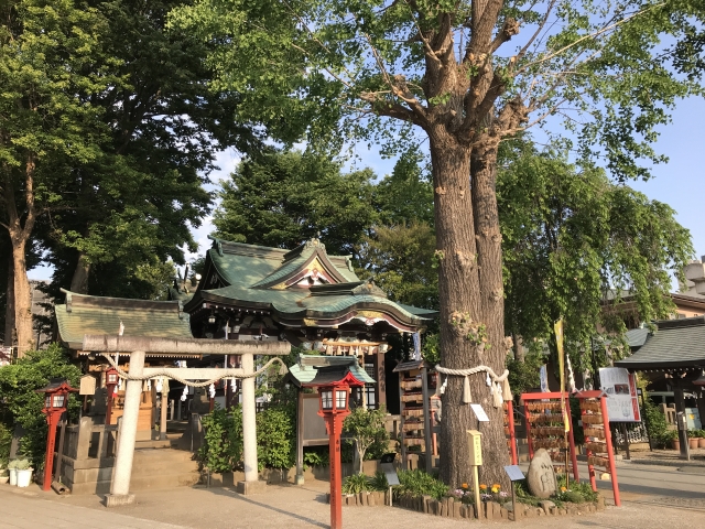 川越八幡宮｜由緒ある神社の歴史と見どころ、参拝情報を完全ガイド
