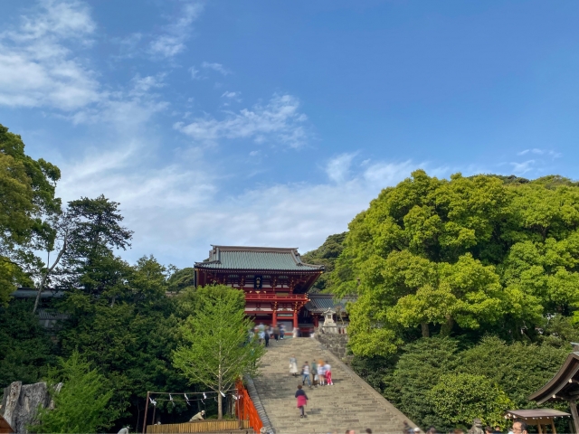 Tsurugaoka Hachimangu Shrine｜A complete guide to the history, highlights, and worship information of this historic Kamakura guardian shrine