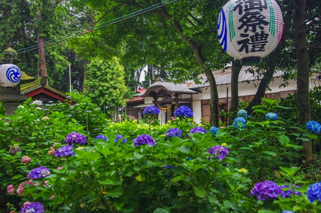 磯山神社｜あじさいの名所として名高い千年の歴史を持つ古社の魅力と参拝案内を詳しく解説