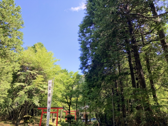 Koutoki Shrine｜Complete guide to the history, highlights, and worship information of this historic shrine related to Kintaro
