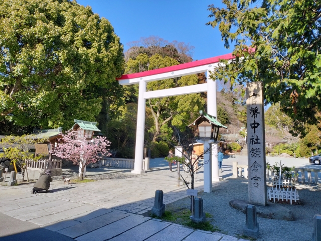 鎌倉宮｜由緒ある神社の歴史と見どころ、参拝情報を完全ガイド