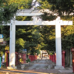 須賀神社｜小山六十六郷の総鎮守として千年の歴史を誇る由緒ある神社の魅力を完全ガイド