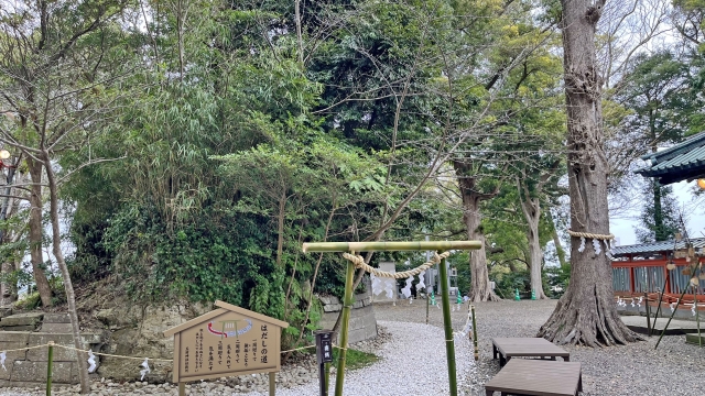 玉前神社｜上総国一之宮の由緒ある神社の歴史と見どころ、参拝情報を完全ガイド