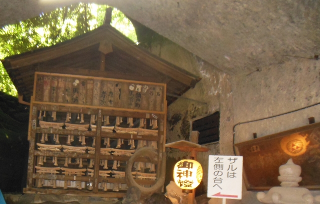 Zenarai Benzaiten Ugafukujinja｜Complete guide to the history, highlights, and worship information of this money-loving shrine associated with Minamoto no Yoritomo