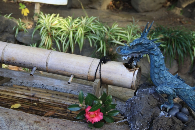 葛原岡神社｜由緒ある神社の歴史と見どころ、参拝情報を完全ガイド
