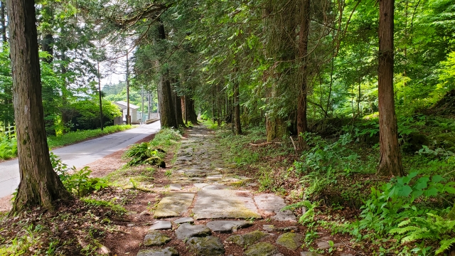 滝尾神社｜日光二荒山神社別宮の隠れたパワースポットと見どころ、参拝案内を完全ガイド