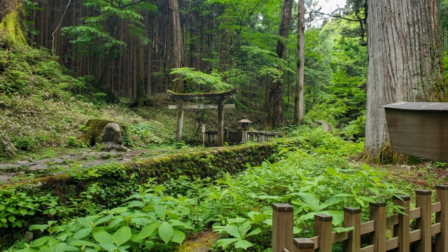 滝尾神社｜日光二荒山神社別宮の隠れたパワースポットと見どころ、参拝案内を完全ガイド