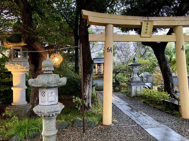 菊田神社｜由緒ある神社の歴史と見どころ、参拝情報を完全ガイド