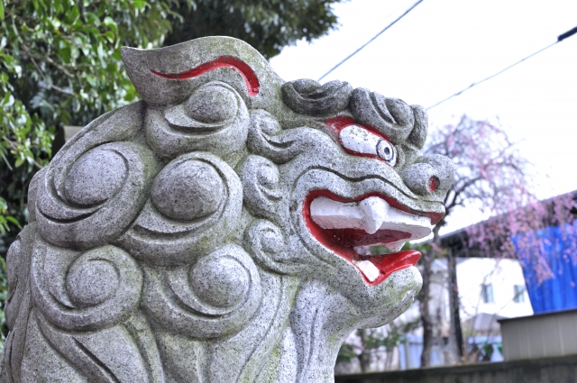 Maetori-jinja Shrine｜Complete guide to the history, highlights, and worship information of this historic shrine