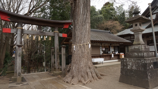 二宮神社｜由緒ある下総国二宮の歴史と見どころ、参拝情報を完全ガイド