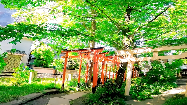 金山神社｜由緒ある神社の歴史と見どころ、参拝情報を完全ガイド