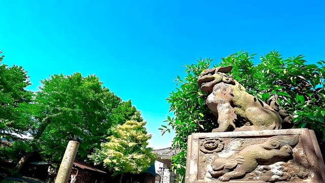 金山神社｜由緒ある神社の歴史と見どころ、参拝情報を完全ガイド