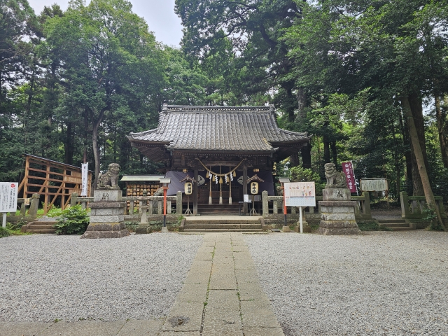 Mamada Hachimangu｜Complete guide to the history, highlights, and worship information of this historic shrine