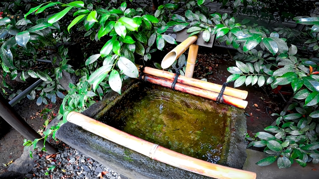 川越熊野神社｜由緒ある神社の歴史と見どころ、参拝情報を完全ガイド