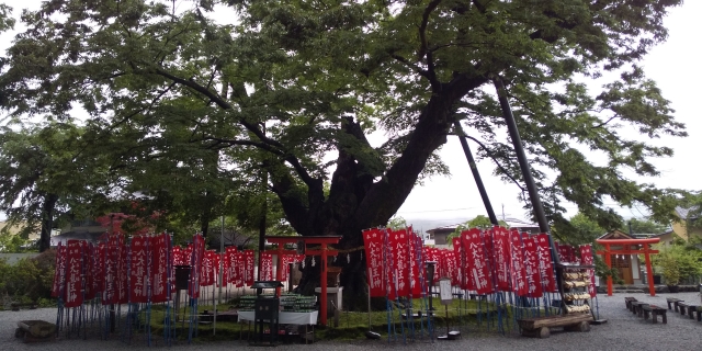 秩父今宮神社｜秩父霊場発祥の地で八大龍王を祀る由緒ある神社の魅力と参拝案内を完全ガイド