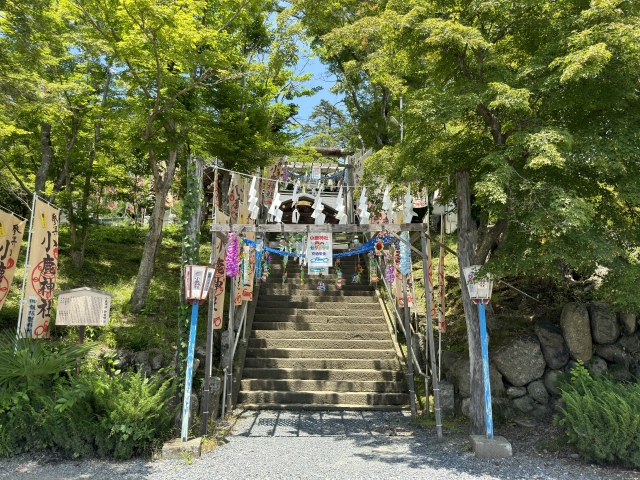 小鹿神社｜由緒ある神社の歴史と見どころ、参拝情報を完全ガイド