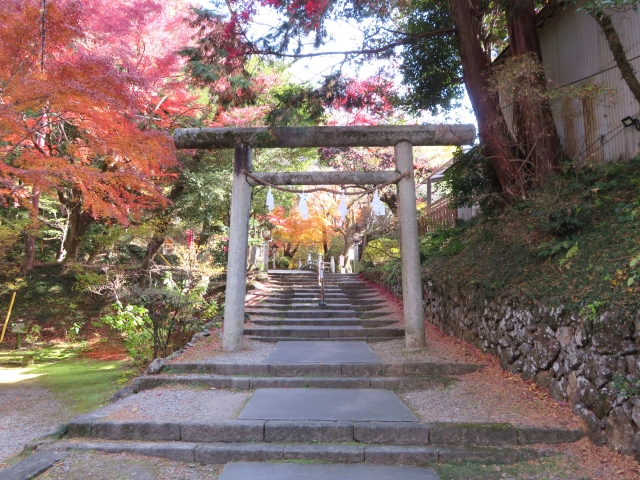 唐澤山神社｜由緒ある神社の歴史と見どころ、参拝情報を完全ガイド