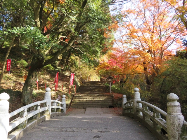 唐澤山神社｜由緒ある神社の歴史と見どころ、参拝情報を完全ガイド