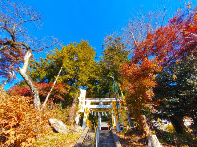 聖神社｜由緒ある神社の歴史と見どころ、参拝情報を完全ガイド