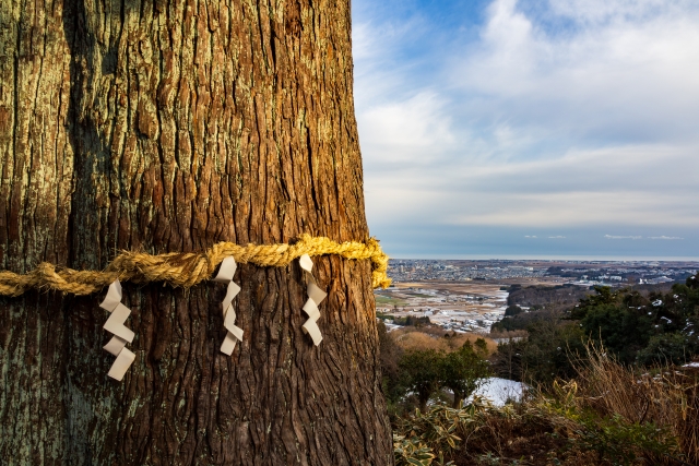 熊野那智神社｜由緒ある神社の歴史と見どころ、参拝情報を完全ガイド