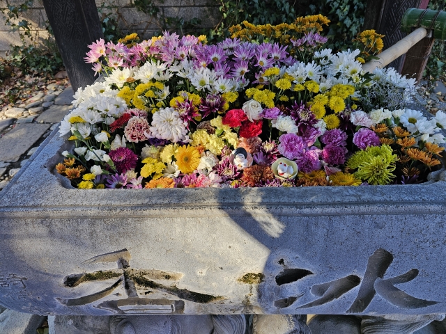於菊稲荷神社｜江戸時代の美談が息づく由緒ある神社の歴史と見どころを完全ガイド