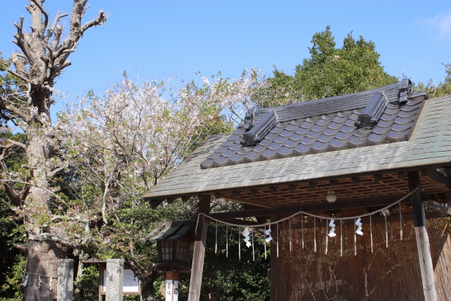 鎌数伊勢大神宮｜干潟八万石総鎮守の歴史と鎌数神楽の魅力、参拝情報を完全ガイド