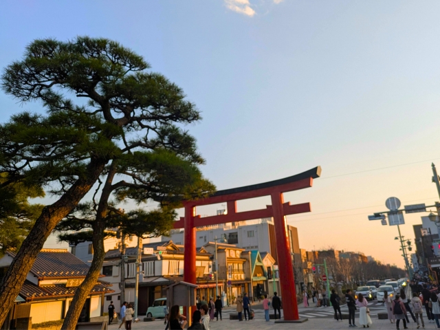 Tsurugaoka Hachimangu Shrine｜A complete guide to the history, highlights, and worship information of this historic Kamakura guardian shrine