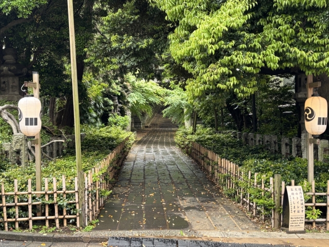 赤坂氷川神社の見どころ・特徴