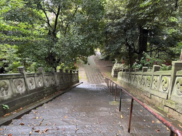 アクセス・利用情報