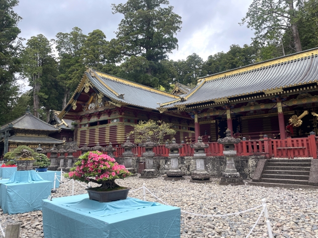 Nikko Toshogu Shrine｜Complete guide to the history, highlights, and worship information of this historic shrine