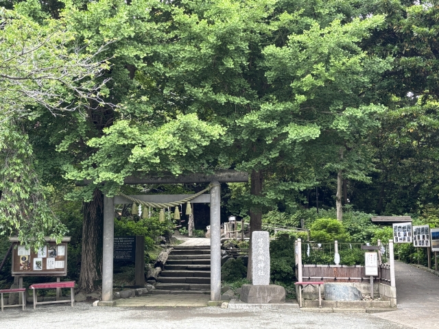 葛原岡神社｜由緒ある神社の歴史と見どころ、参拝情報を完全ガイド