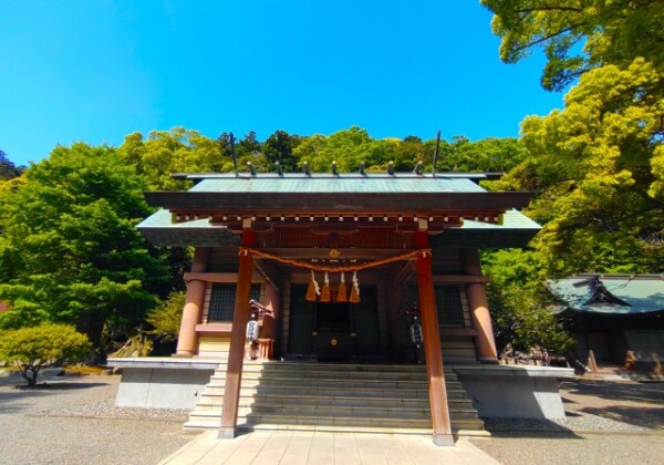 安房神社｜由緒ある神社の歴史と見どころ、参拝情報を完全ガイド