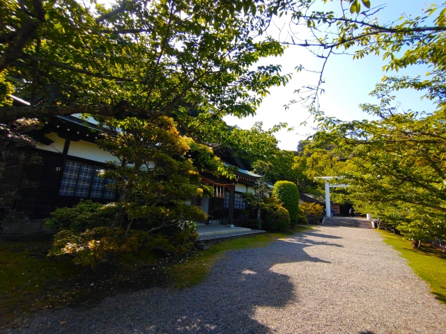 安房神社｜由緒ある神社の歴史と見どころ、参拝情報を完全ガイド
