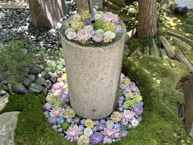 行田八幡神社｜由緒ある封じの宮の歴史と見どころ、参拝情報を完全ガイド