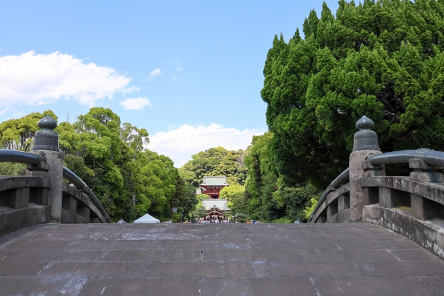 Tsurugaoka Hachimangu Shrine｜A complete guide to the history, highlights, and worship information of this historic Kamakura guardian shrine
