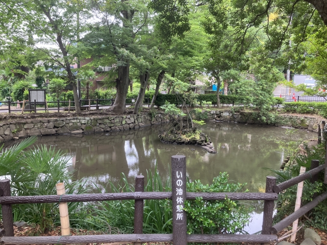 師岡熊野神社｜由緒ある横浜北部総鎮守の歴史と見どころ、サッカー神社として親しまれる八咫烏の神社を完全ガイド