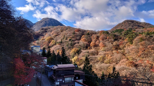 伊香保神社｜由緒ある神社の歴史と見どころ、参拝情報を完全ガイド