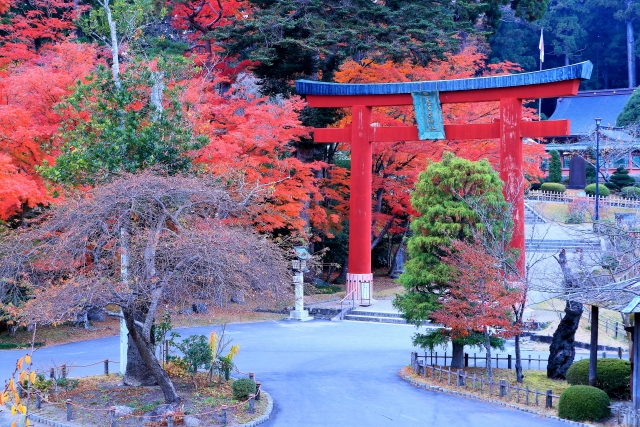 志波彦神社・鹽竈神社｜東北鎮護の由緒ある神社の歴史と見どころ、参拝情報を完全ガイド