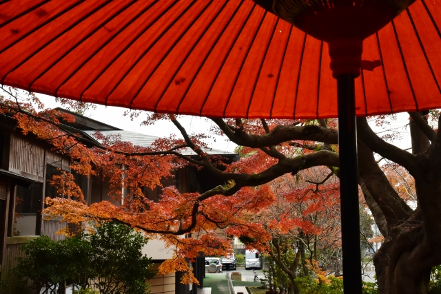 鎌倉宮｜由緒ある神社の歴史と見どころ、参拝情報を完全ガイド